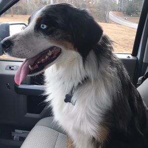 Meet your Posher, Steve